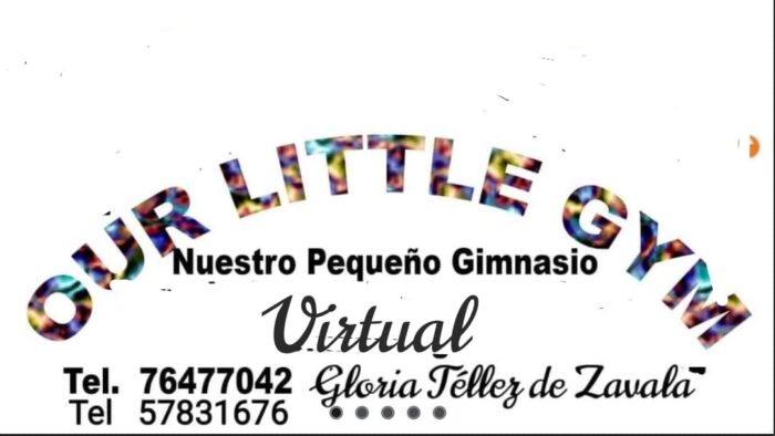 Nuestro Pequeño Gimnasio Virtual